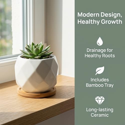 Jucoan 6 Pack Ceramic Succulent Planter Pot with Bamboo Tray