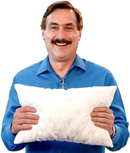 MyPillow Childrens Bible Story Pillow [Noah's Ark]