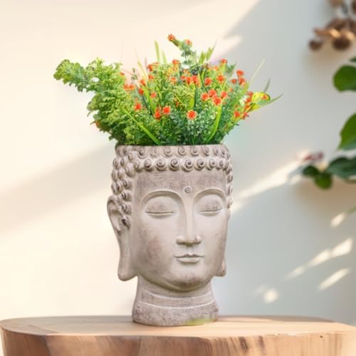 Newman House Studio Face Cactus Succulents Planter Pot - Indoor Outdoor Planter with Drainage Hole Garden Statues Cute Plants Pot Flower Pot