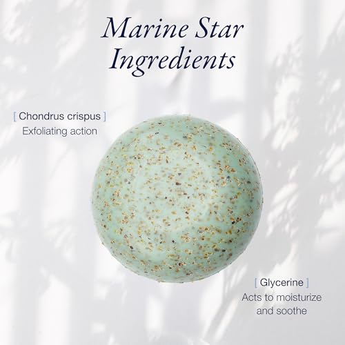 Phytomer Seaweed Soap Bar with Exfoliating Cleansing Particles (150 gr) | With Red Algae and Glycerine Marine Formula for Gentle Exfoliation of Dead