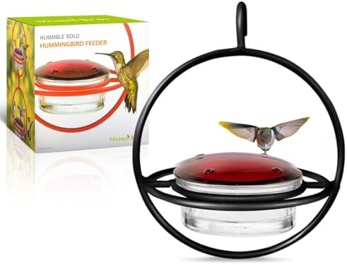 Hummingbird Feeder for Outdoors Hanging, 3.4 OZ Hummingbird Feeders, Glass Bowl with 4 Feeding Ports, Leak Proof Lid & Circular Perch, Bird Feeder (1, Red)