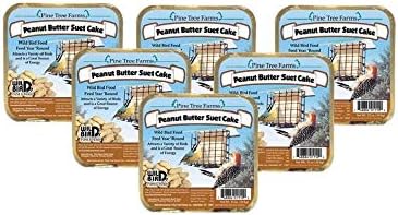 Pine Tree 1421 Peanut Butter Wild Bird Suet Cake, 3-Pound