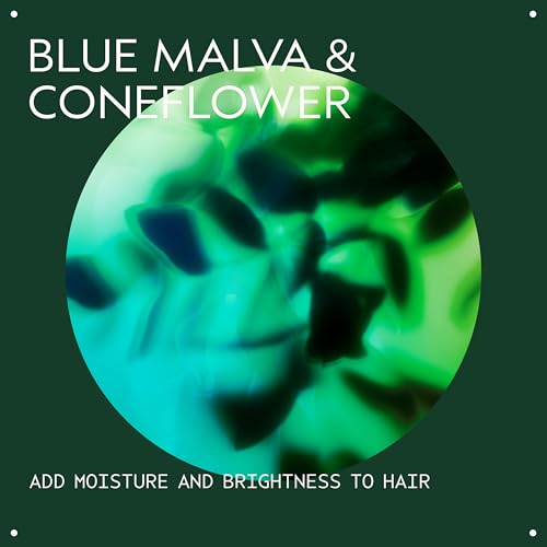 Aveda Blue Malva Shampoo | Purple Shampoo for Gray and Blonde Hair | Neutralizes Brassiness and Yellow Tones |With Blue Malva and Coneflower | 95%
