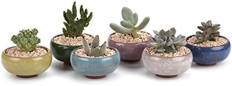 T4U 2.5 Inch Small Ceramic Succulent Planter Pot with Drainage Hole Set of 6, Ice Crack Glaze Plant Container for Cactus, Gardening Plant Gifts for Women Mom Aunt Home Office Decor | Cactus planters set, indoor herb garden, bonsai tree starter, tabletop…