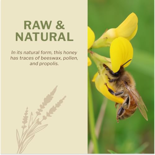Oneroot 100% Organic Canadian Wildflower Honey - 17.6 Oz/1.1 Lbs, Unheated & Creamed - Nutrient-Rich