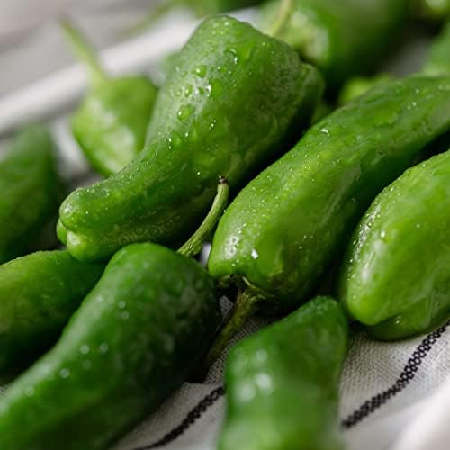 Pimientos DE Padron-100 Seeds (Padron Pepper)- Hot/Sweet/Mild,Spanish Heirloom !