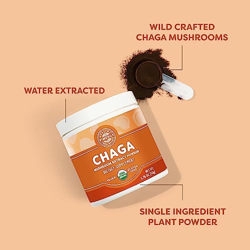 Vimergy Chaga Capsules – Superfood Cellular Support* – Cardiovascular Health Benefits* – Kosher, Vegan, Gluten-Free – 90 Capsules | Superfood Adaptogen*, Immunity for cell tissues*, Polyphenols for Antioxidant protection*, Vegan and Kosher