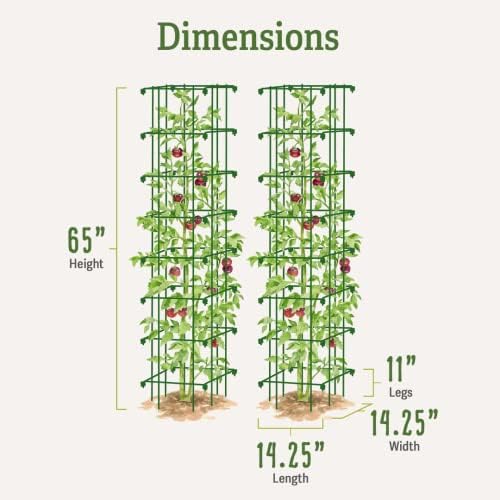 Gardener’s Supply Company Extra Tall Heavy-Guage Square Tomato Cages | Easy Fold Plant Supports & Vegetable Garden Stakes | 14.25" x 14.25" x 65"