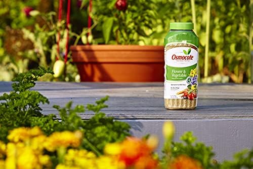 Osmocote Smart-Release Plant Food Flower & Vegetable, Plant Fertilizer, 2 lbs. (12-Pack)