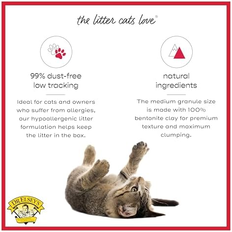 Dr. Elsey's Cat Attract Clumping Clay Cat Litter 40 lb. Bag
