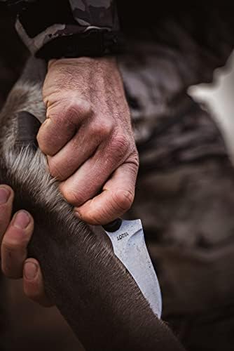 Old Timer 152OT Sharpfinger 7.1in S.S. Full Tang Fixed Blade Knife with 3.3in Clip Point Skinner Blade, Black Sawcut Handle, and Leather Belt Sheath for Hunting, Camping, Skinning, EDC, and Outdoors