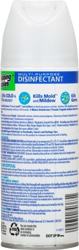 Scrubbing Bubbles Multi-Purpose Disinfectant Spray, 12 oz