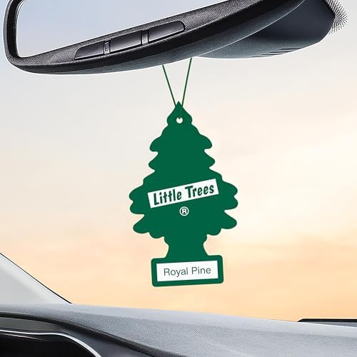 LITTLE TREES Car Air Freshener | Hanging Tree Provides Long Lasting Scent for Auto and Home | Royal Pine, 24 Air Fresheners