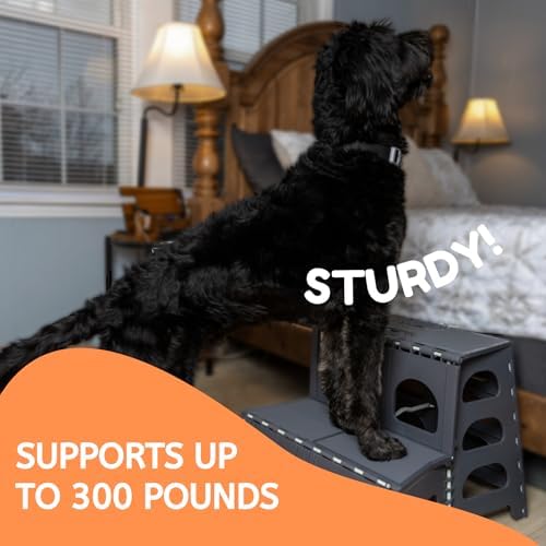 Foldable Dog Stairs, Collapsible Pet Step Ladder, Supports 300lbs | 2-Step Folding Dog Stairs & Ramp, Carpeted Design