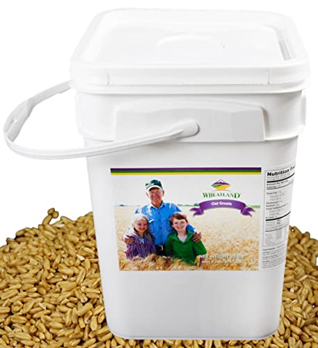 Wheatland Oat Groats • 20 Pound Bucket with Mylar lining • USA Grown • Non-GMO • Lab Tested • Sproutable • Whole Grain • Emergency