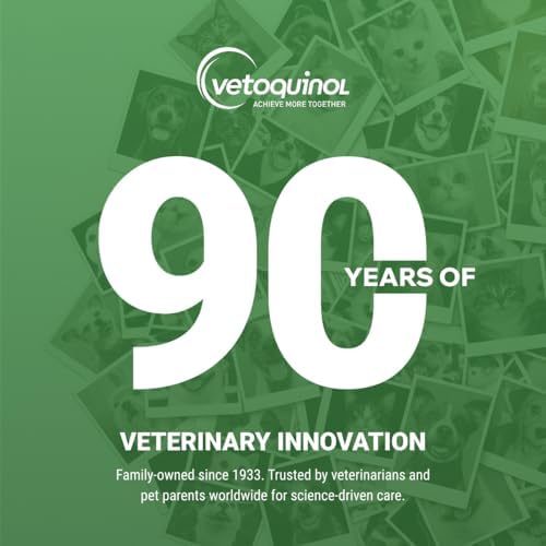 Vetoquinol Enisyl-F Lysine Bites - L-Lysine Chews for Cats & Kittens - Daily Supplement for Immune