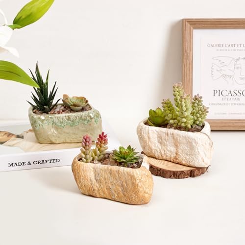 T4U 5.5 Inch Ceramic Succulent Pot Planter with Drainage Hole Set of 3