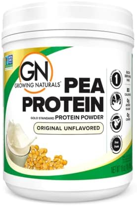 Raw Pea Protein Powder, Vegan Plant Based Protein, BCAA, Low-Carb, Low-Sugar, Chocolate Power, 1 Pound (Pack of 1)