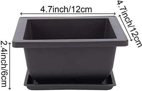 15 PCS 6.5 Inch Bonsai Training Pots with Trays, Rectangular Plastic Growing Pots, Flower Succulent Pots Container for Garden, Yard, Office, Porch