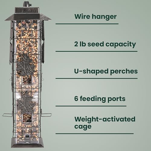 Perky-Pet Squirrel-Be-Gone Bird Feeder, 2 lb Seed Capacity | Weight-Activated Squirrel Proof Bird Feeder