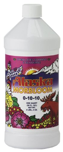 ALASKA MORBLOOM FERT QT