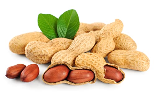 Fruidles Raw Peanuts, 2 Pound Bag Raw Peanuts in Shell, Great for Boiling, Squirrels Feed, Birds Feed and Wildlife