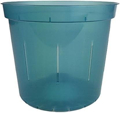Orchid Pot - 6 inch Slotted Clear Orchid Pots - 3 Pack (Crystal Clear)