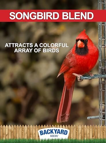 CountryMax Backyard Seeds Songbird Blend Mixed Bird Seed - Attracts Bluebirds, Cardinals, Chickadees (7 Pounds)