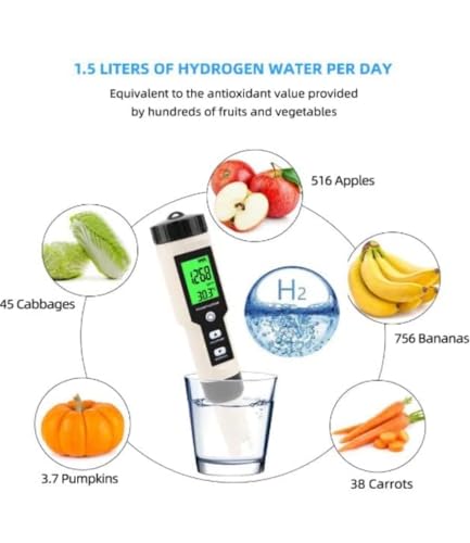 Enagic Leveluk K8 Water Filter Machine