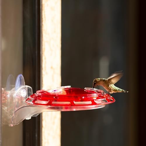 More Birds 3-in-1 Hummingbird Feeder 6 fl oz Red Plastic Window Mount Hanging Outdoor Bird Feeder with Suction Cup Hanger for Backyard Birding