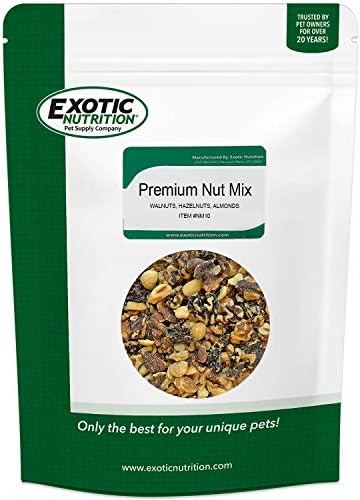 Exotic Nutrition Premium Nut Mix - Unroasted, Unsalted Walnuts, Hazelnuts, Almonds - Food & Treat for Squirrels, Parrots & Other Small Pets (5 lb.)