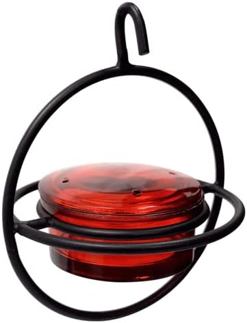 Monarch Abode Hanging Hummingbird Feeders for Outdoors – Single Handcrafted Hanging Glass Hummingbird Feeder with Red Bowl & Perch