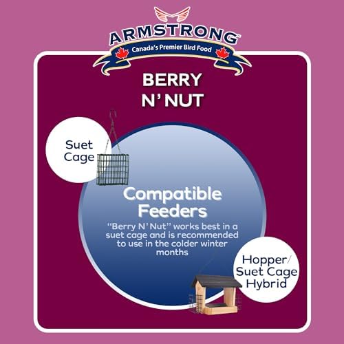 Armstrong Wild Bird Food Berry N' Nut Suet Cake, 11.3 Ounces (Pack of 3) - with Cut Corn, Rendered Beef Fat, White Millet
