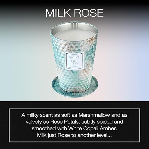 Voluspa BlackBerry Rose Oud, 2 Wick Tin Candle, 8 oz, 25 Hour Burn Time, Coconut Wax for Clean Burning, Handcrafted in The USA