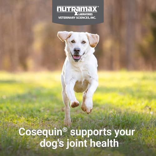 Nutramax Cosequin Joint Supplement for Dogs, Skin & Coat, Soft Chews, 120ct | Glucosamine & Chondroitin for Dogs with MSM, Omega-3s, Supports Joints