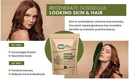 Way4Organic Papaya Leaf Powder 16 Ounces(1 Pound), Dried from Fresh Green Leaves, Good to Make Tea, Juice Extract, (No Fruit, No Seeds)