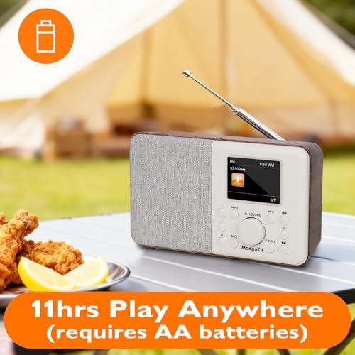 SR10 WiFi Radio, Bluetooth, FM & Internet, Walnut | 60 presets, dual alarms, colour display, OKTIV App control, podcast player, mains or AA battery, headphone jack, compact