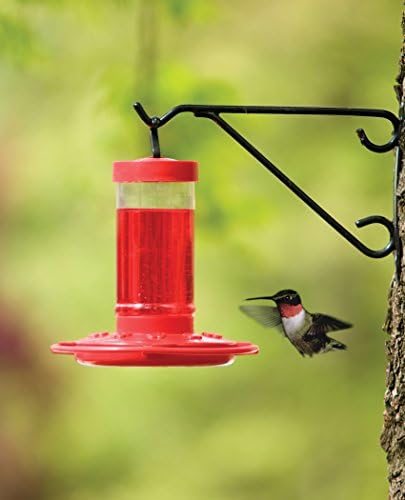 First Nature Hummingbird Feeder - 10 Feeding Ports - Red Base | Wide Mouth Prevents Messy Spills - Sealing Ring Prevents Bottom Leaks - Multi-Port Base Accommodates Flocks
