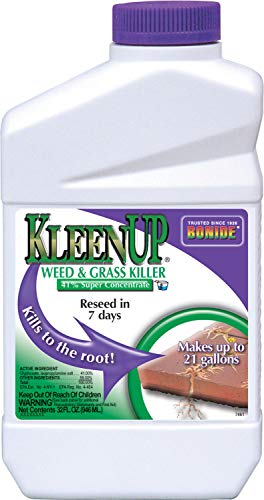 Kleenup W&G Conc 32oz