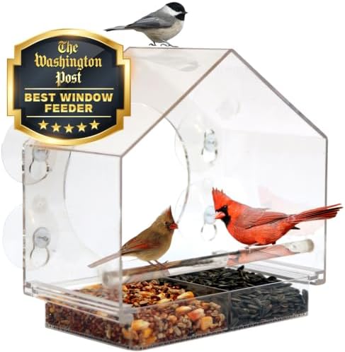 Window Hummingbird Feeder, Suction Cup, Hummingbird Feeders for Outdoors | leak proof with sealing gasket included, bee and wasp proof flowers