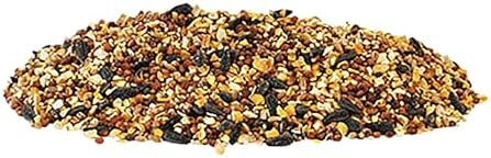 BestNest Wild Bird Seed Mix, Economy Blend, 50 lbs.