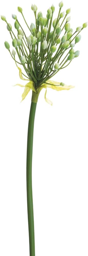 28in Agapanthus Bud Artificial Flower Stem -Cream/Green (Pack of 12)