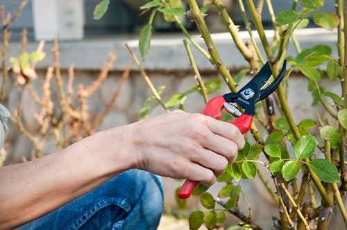 Corona BP 3214D ComfortGEL Bypass Hand Pruner, 3/4-inch cut , Red