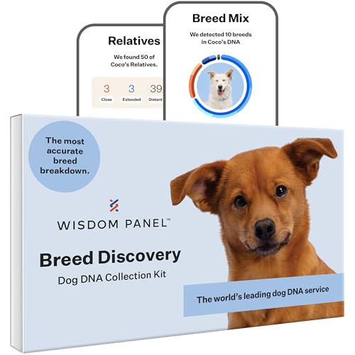 Wisdom Panel Breed Discovery Dog DNA Testing Kit - Most Accurate Dog Breed Identification - Test for 430+ Breeds, MDR1 Health Test, Ancestry