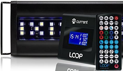 Current USA 24-36" Inch Orbit Marine LED Saltwater Reef Marine Aquarium Light | 24 Hour IR Lighting & eFlux Wave Pump Control | Adjustable Color Spectrum for Fish Tank (4101)