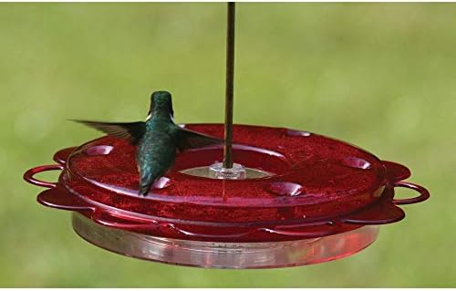 Nature Products 1002 Hummerfest Hummingbird Feeder | Easy to Fill and Clean Design for Season-Long Hummingbird Feeding