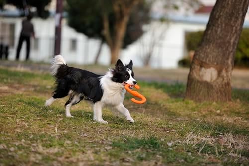 WEST PAW Zogoflex Bumi Dog Tug Toy – S-Shaped, Lightweight Chew Toys for Fetch, Play, Pet Exercise – Tug of War Soft Flinging Squishy Chewy Toy for Dogs – Guaranteed, Latex-Free, Small 8", Aqua Blue