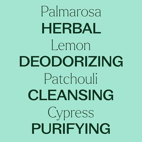 Plant Therapy Deodorizing Essential Oil Blend 10 mL Ideal for Cleaning | Pure Essential Oils, Undiluted, Ideal for Household Cleaning & Deodorizing