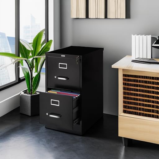 Staples 2-Drawer Vertical File Cabinet, Letter Size Documents, Lockable, 22" D x 15" W x 28.38" H, Black