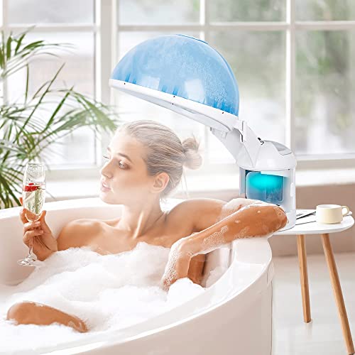 Ionic Nano Mist 2 in 1 Hair Face Steamer